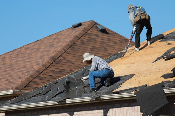 Best Roof Ventilation Installation  in Blaine, TN