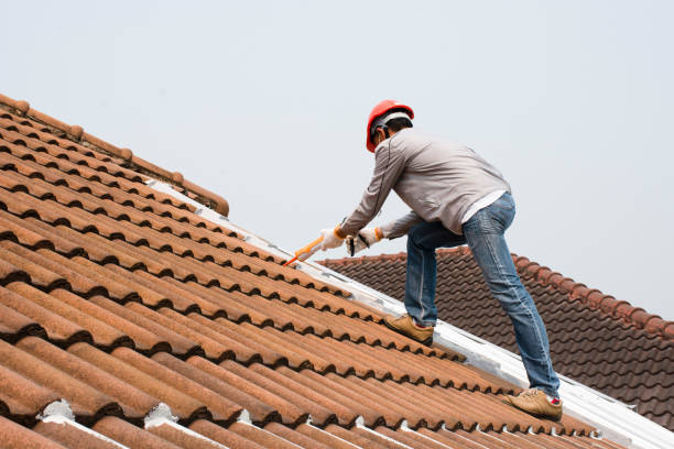 Best Chimney Flashing Repair  in Blaine, TN